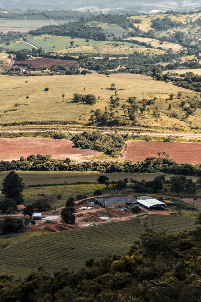 Scenic aerial view of expansive rural farmland with fields and forested areas, showcasing natural beauty.