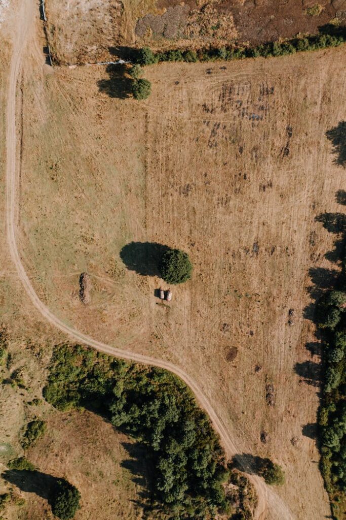 pexels photo 27062932.jpeg