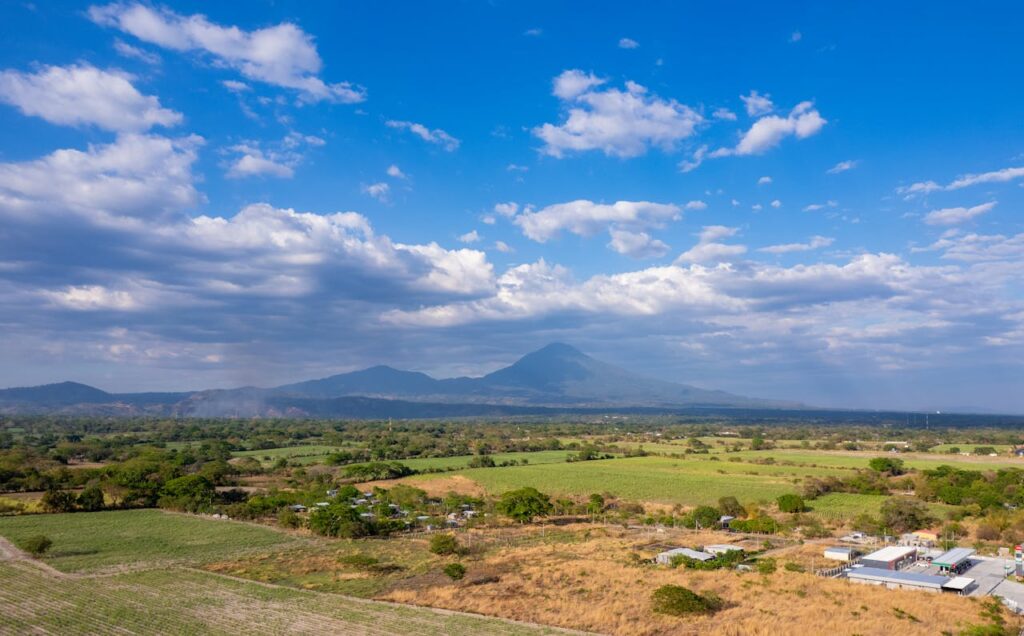 pexels photo 36863405.jpeg